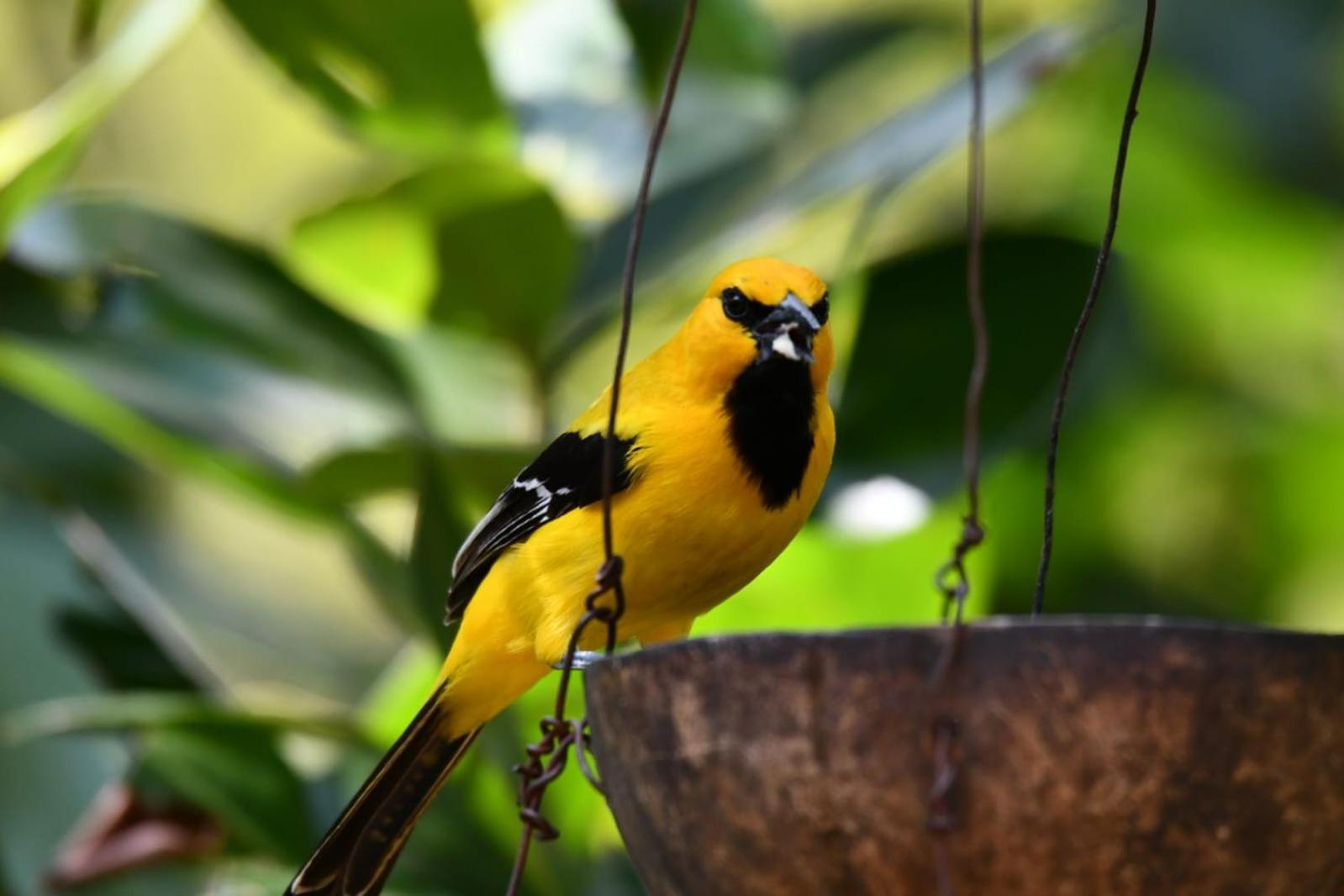 El Paraiso Posada Finca San Vicente Barichara Ngoại thất bức ảnh