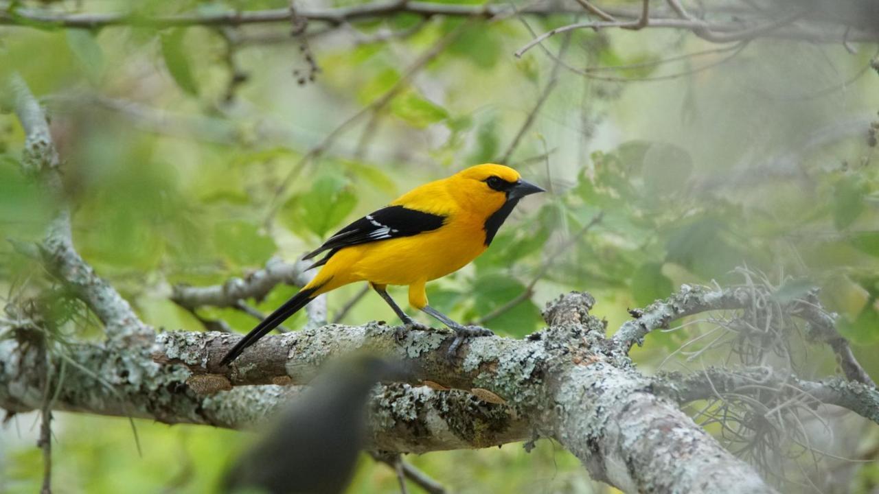 El Paraiso Posada Finca San Vicente Barichara Ngoại thất bức ảnh