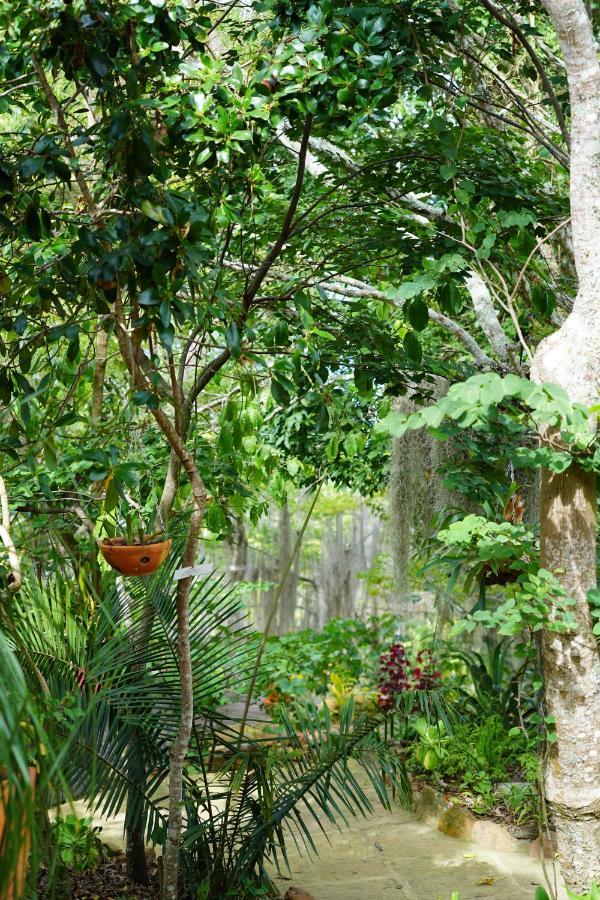 El Paraiso Posada Finca San Vicente Barichara Ngoại thất bức ảnh